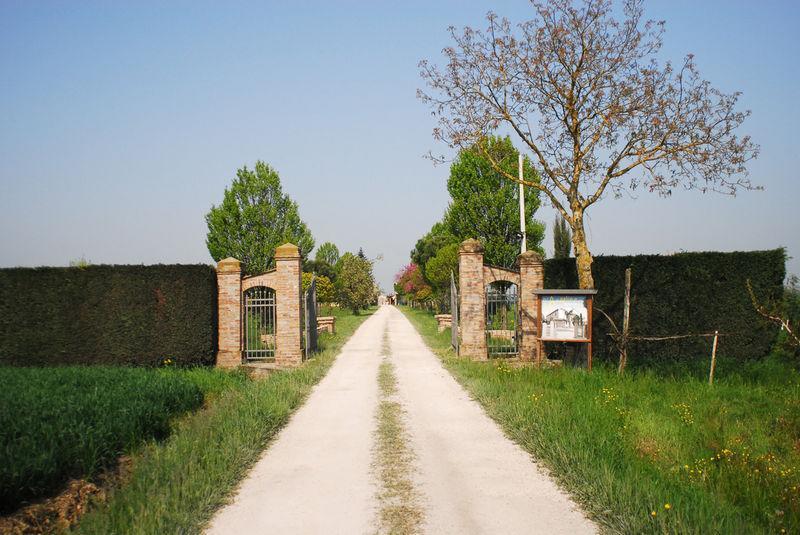 Vila Agriturismo L'Angelina Alfonsine Exteriér fotografie